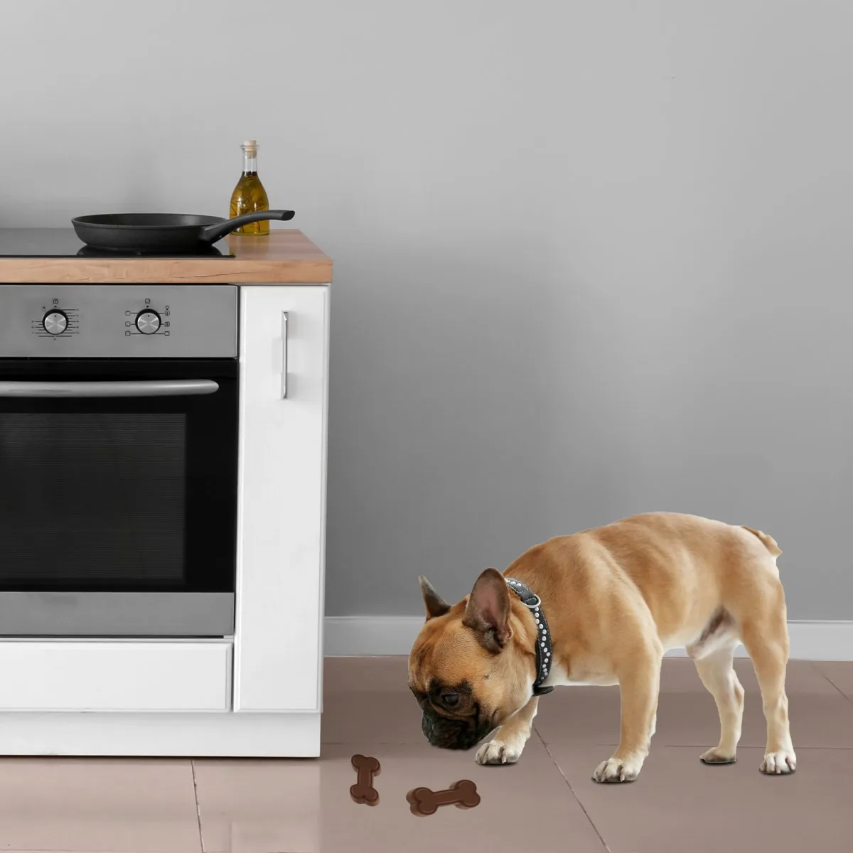 All For Paws Bone Appetit Doggie The Chef