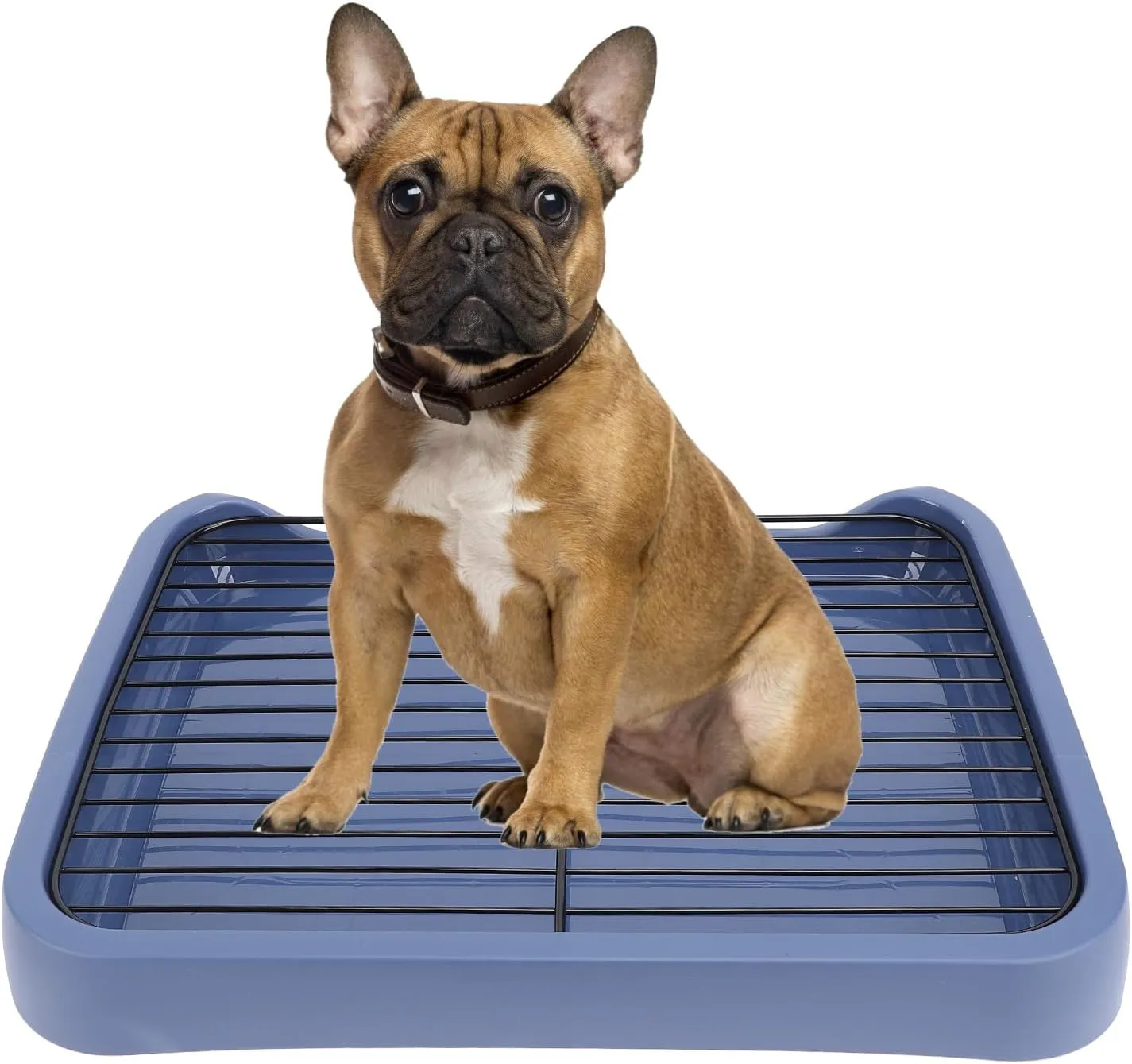 AYNEFY Dog Toilet, Removable Mesh Training Toilet Potty Tray with Shovel, Stable Pet Drying Pee Pad, Blue, Medium, for Medium and Small Dogs, Dog Owners