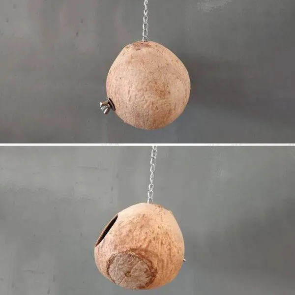 Bengy Coco-Hut 5 1/4" x 5 1/4"