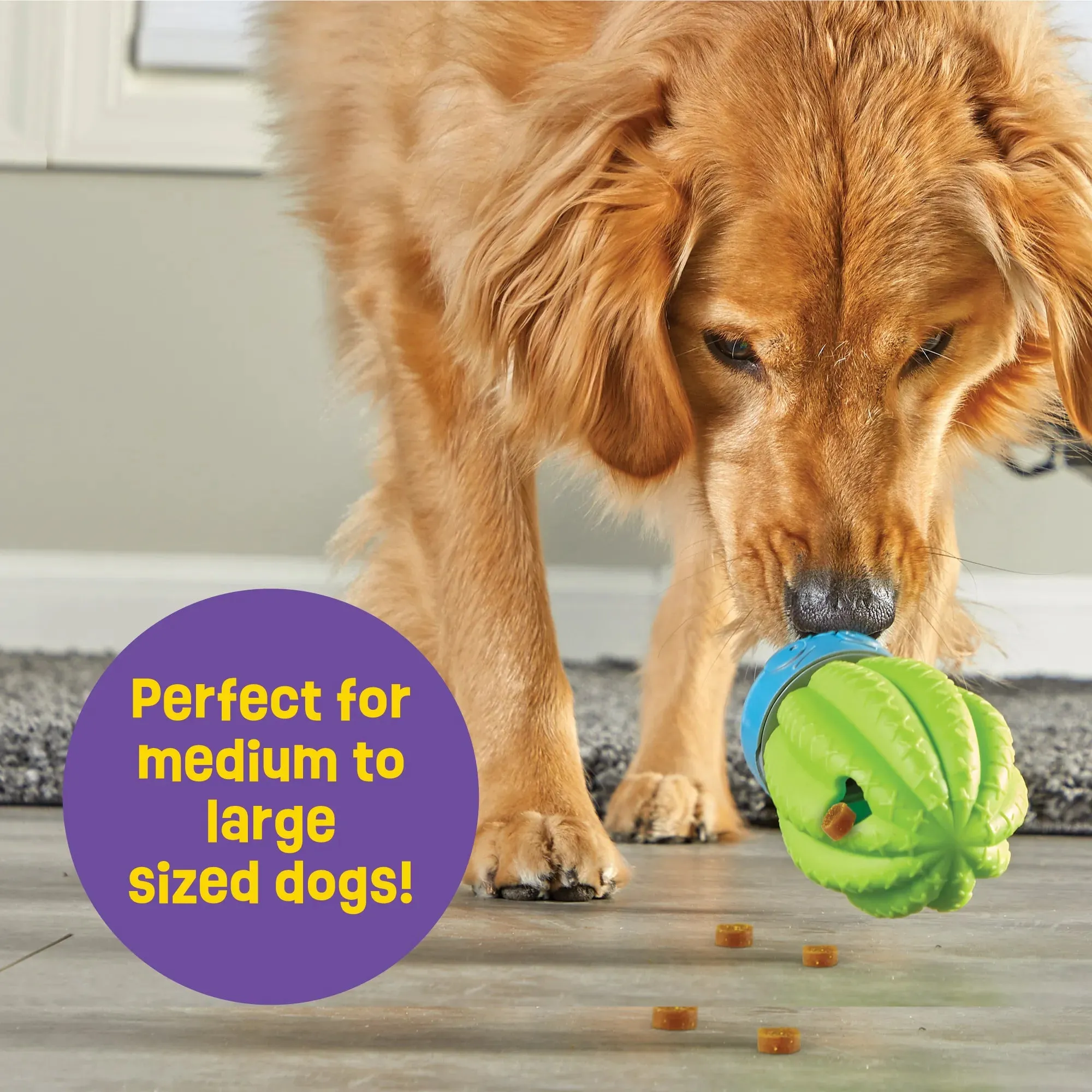 Brightkins Dog Toy Cactus Surprise Treat Dispenser