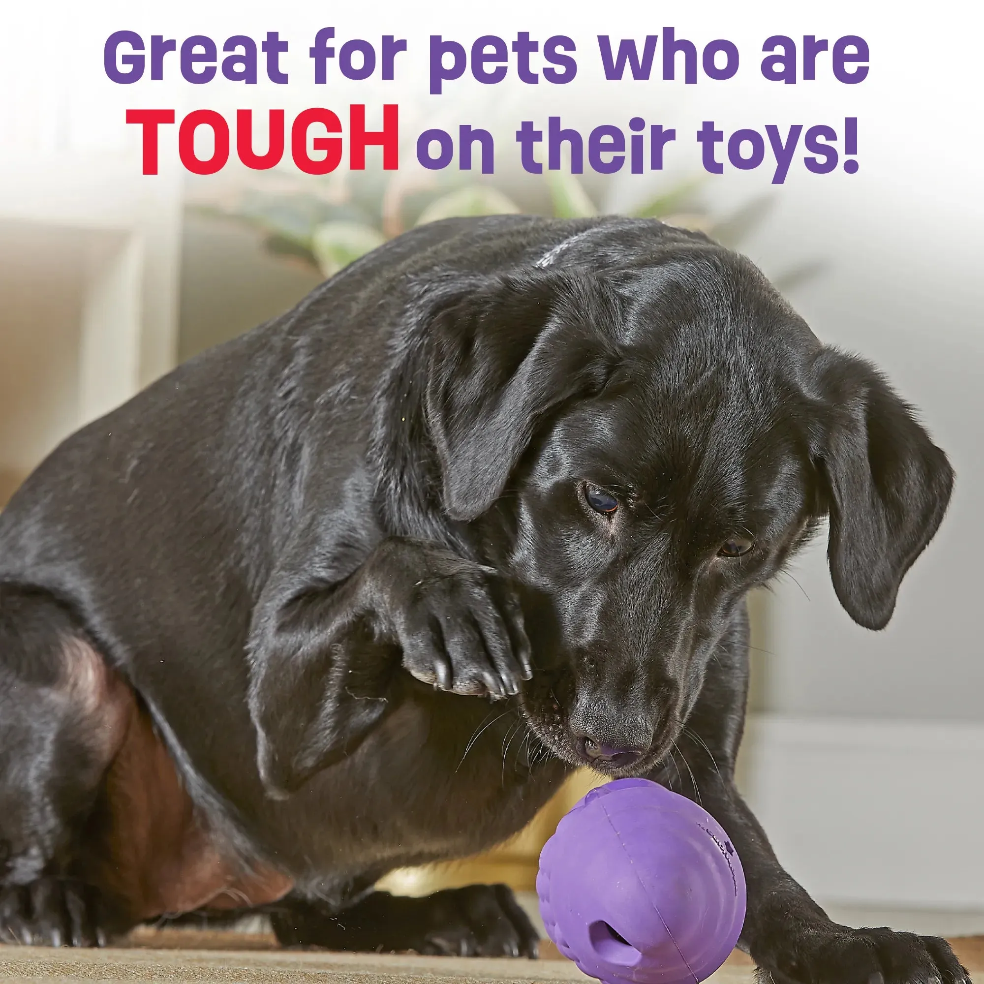 Brightkins Dog Toy Tough & Tumble Gnome Treat Dispenser
