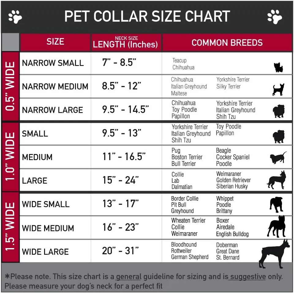 buckle-down    flags2 repeat  1 / 5.08 cm   9  30.48 cm   