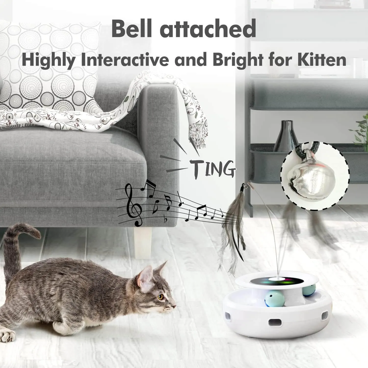 Cat Teaser Toy Attachment 7PCS