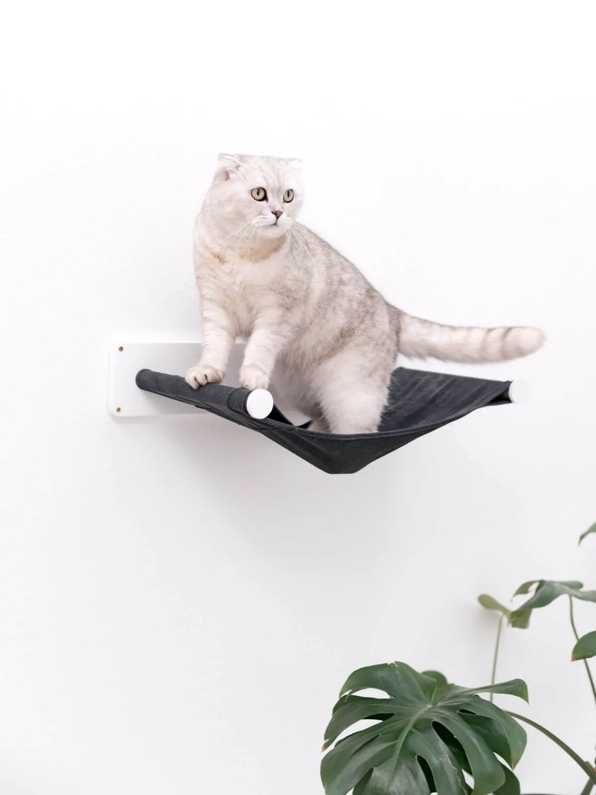 Cat Wall Hammock