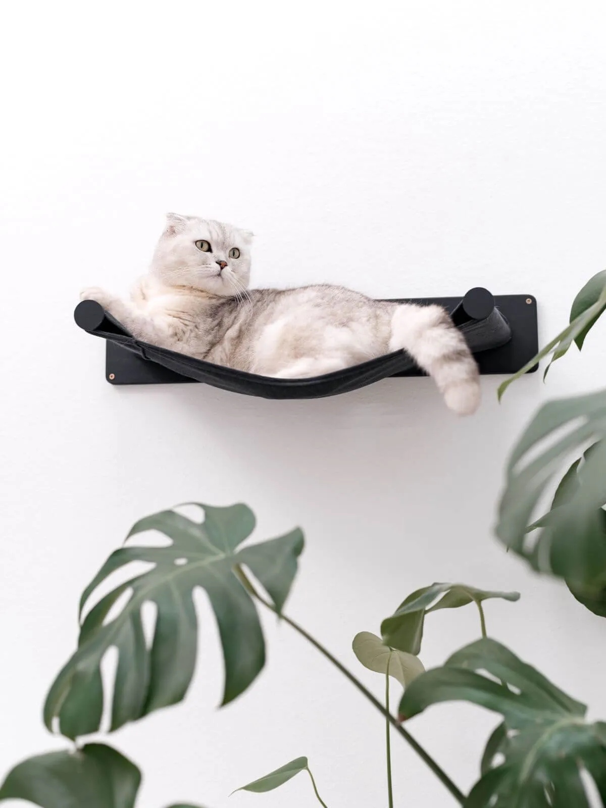 Cat Wall Hammock