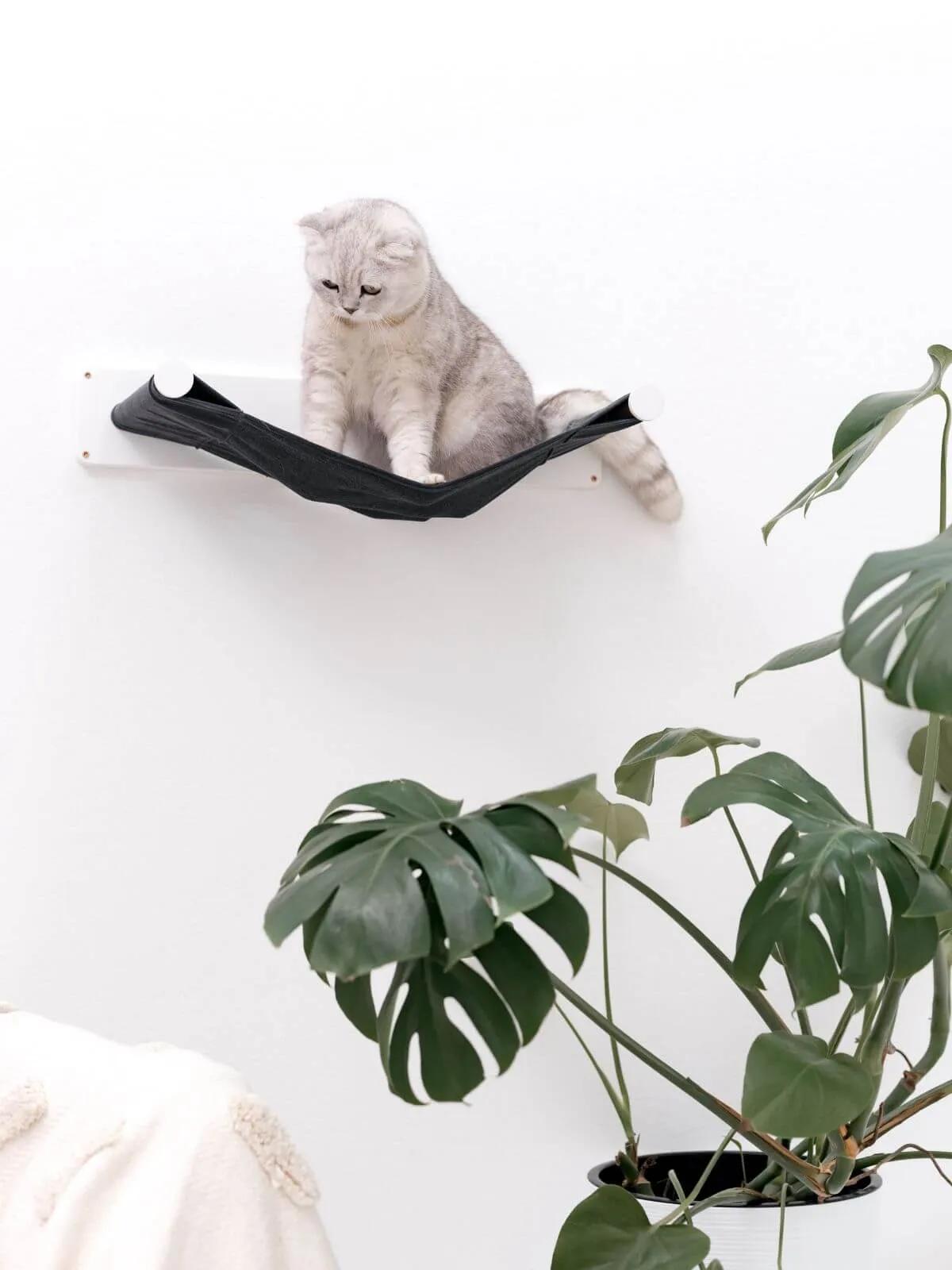 Cat Wall Hammock