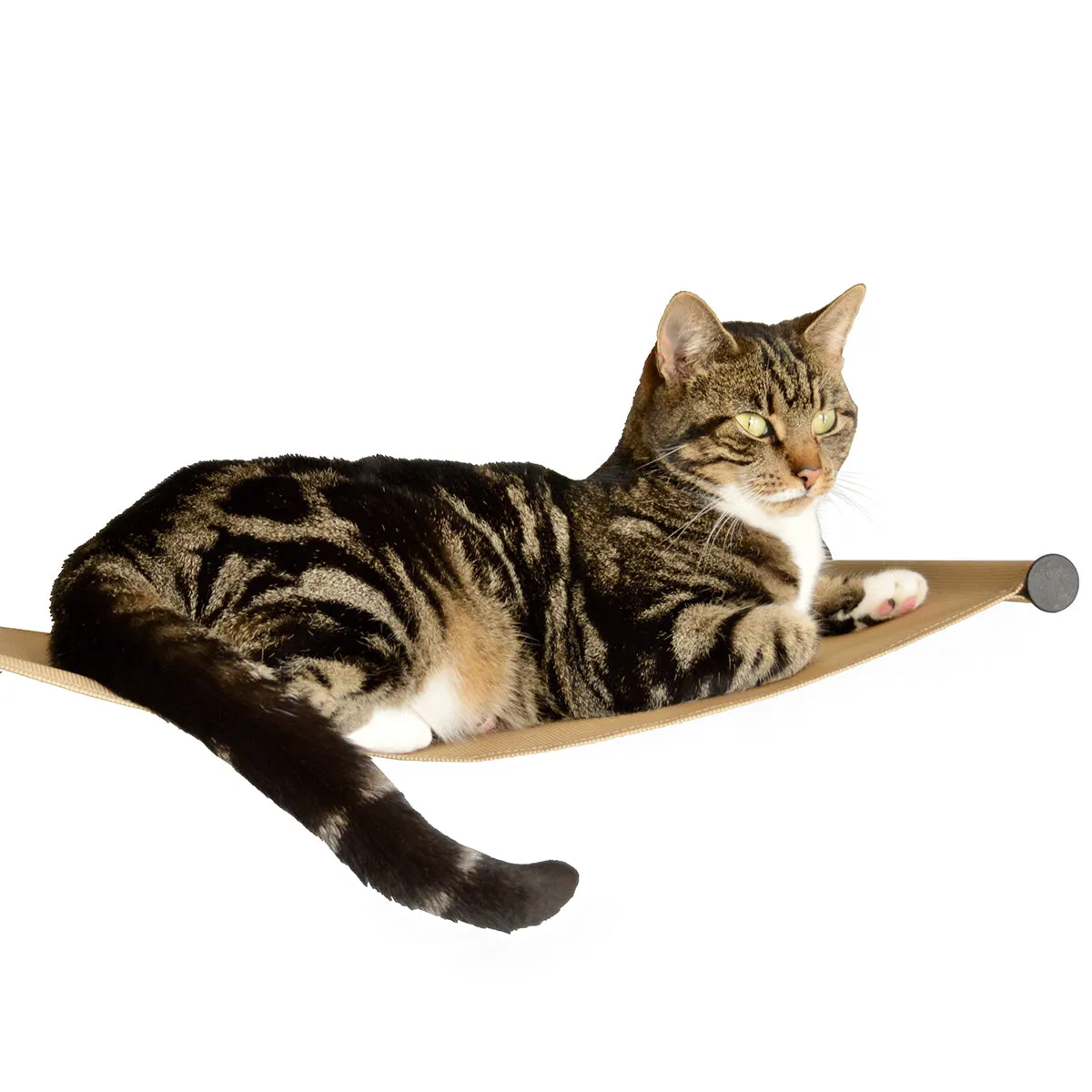 Catipilla Cat Hammock