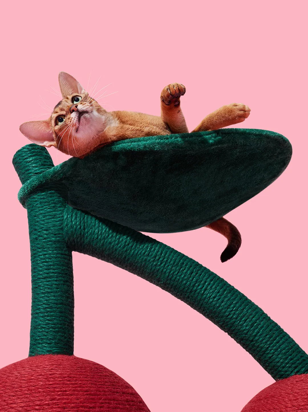 Cherry Cat Tree