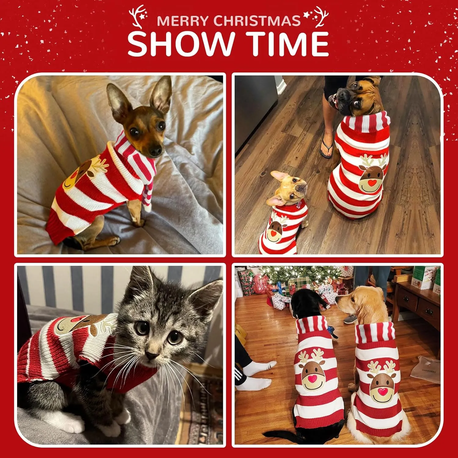 Christmas Dog Sweater and Scarf Set Cute Reindeer Ugly Xmas Puppy Cat Clothes Striped Pet Winter Outfit Soft Warm Knitwear Doggy Sweaters for Small Dogs Chihuahua Costume (Sweater Scarf,M)