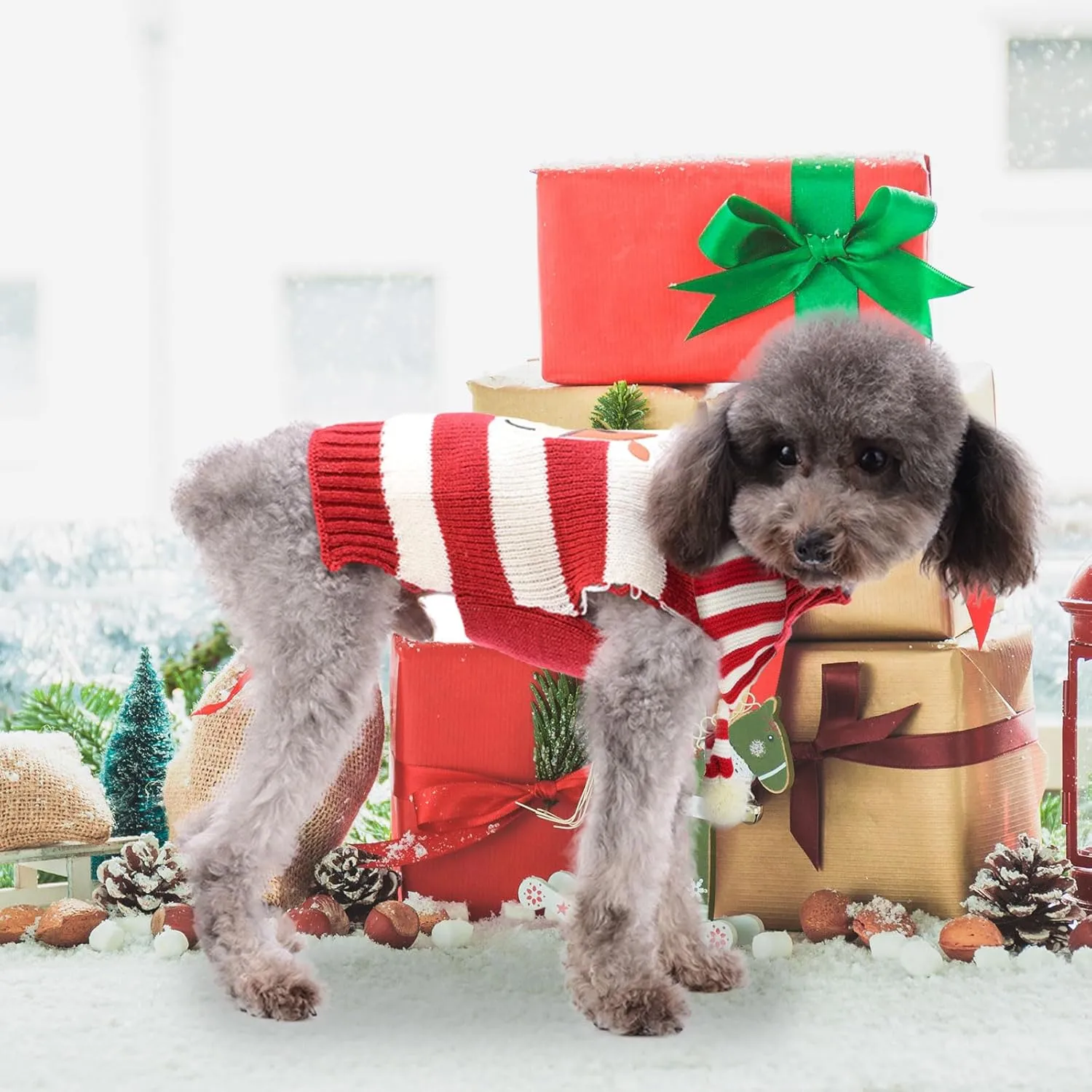 Christmas Dog Sweater and Scarf Set Cute Reindeer Ugly Xmas Puppy Cat Clothes Striped Pet Winter Outfit Soft Warm Knitwear Doggy Sweaters for Small Dogs Chihuahua Costume (Sweater Scarf,M)