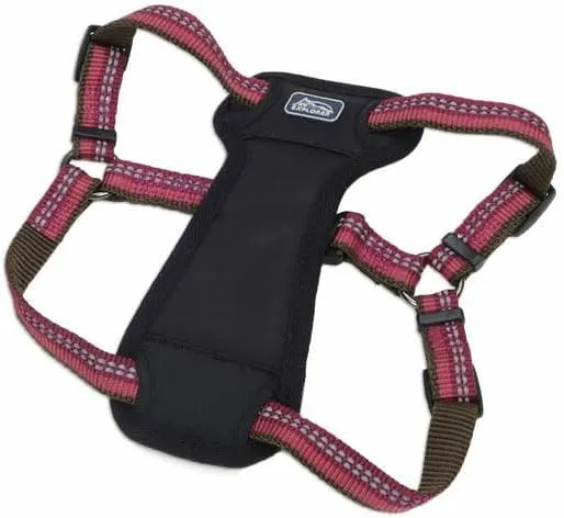 Coastal Pet K9 Explorer Reflective Adjustable Padded Dog Harness - Plush Chest Pad for Comfort - No-Pull Dog Harness for Small and Large Dogs - Berry - 1" x 20"-30", Medium