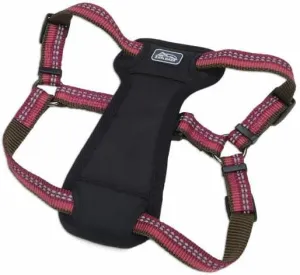 Coastal Pet K9 Explorer Reflective Adjustable Padded Dog Harness - Plush Chest Pad for Comfort - No-Pull Dog Harness for Small and Large Dogs - Berry - 1" x 20"-30", Medium