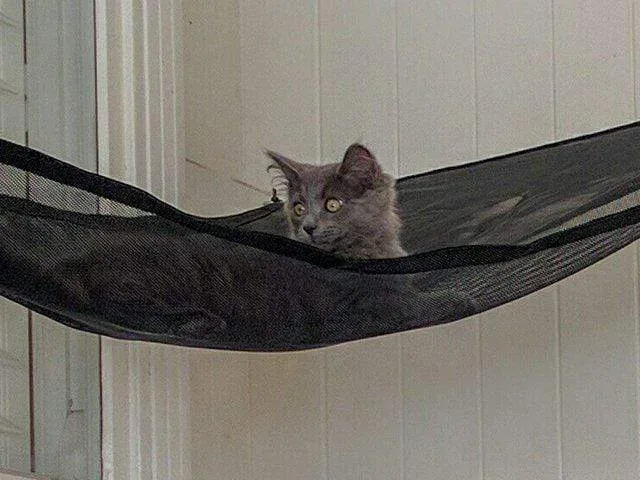 Corner Hammock Kit