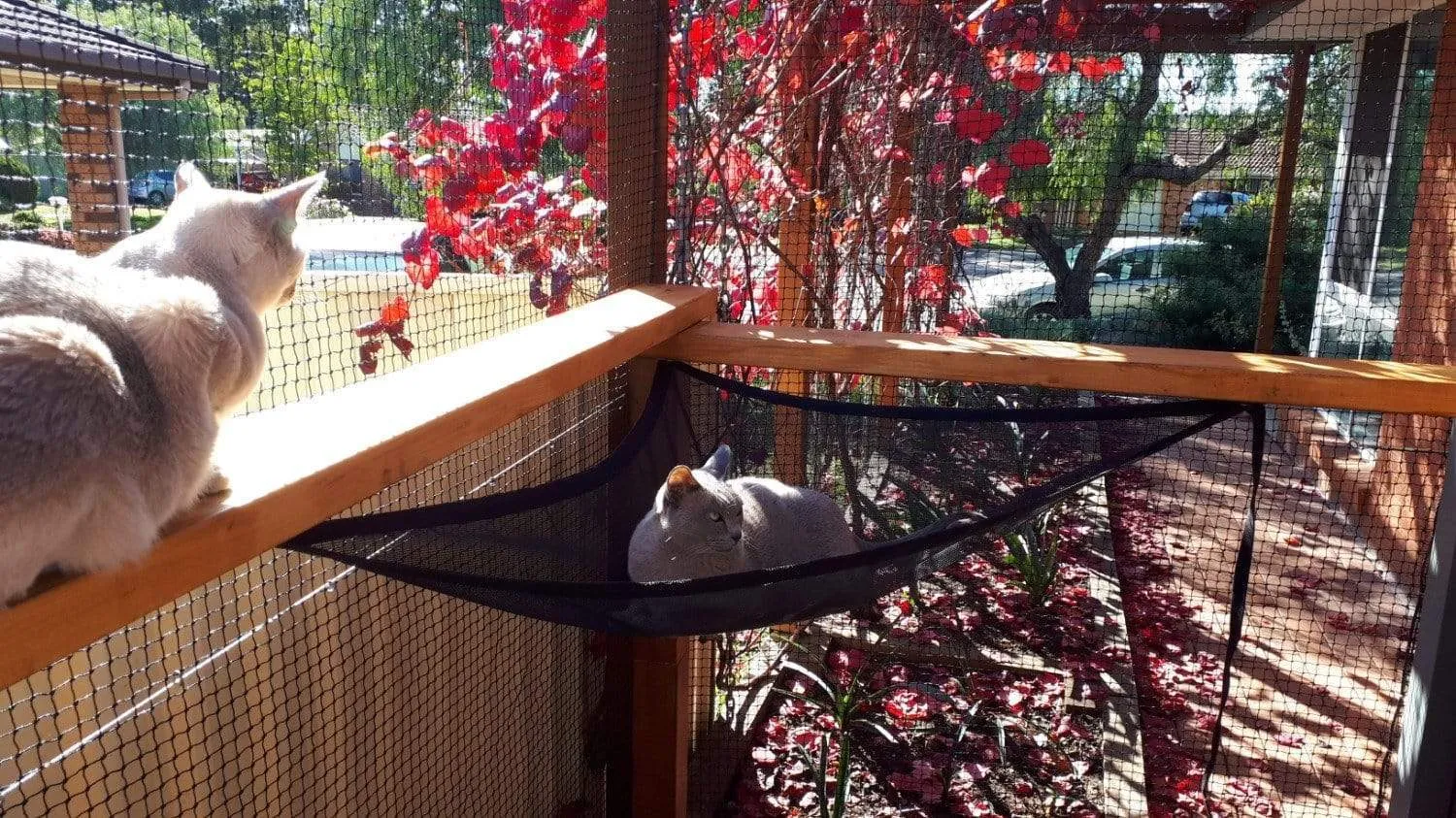 Corner Hammock Kit