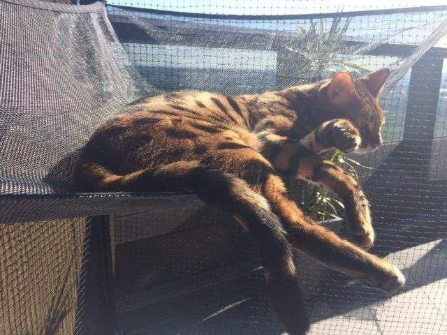 Corner Hammock Kit