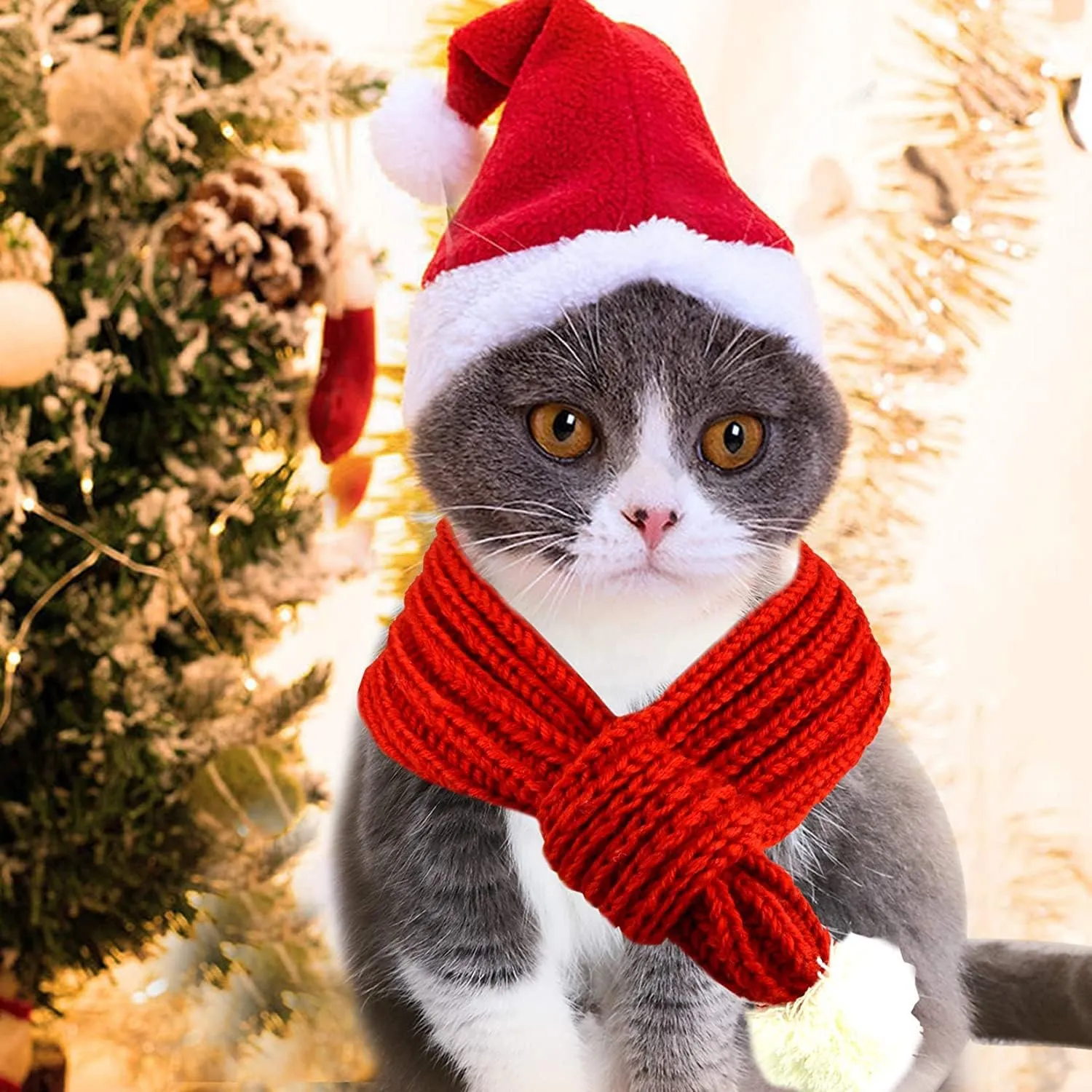 Dog Cat Knitted Christmas Scarf Neck Warmer with Santa Hat Set Xmas Pet Puppy Costume (Large, Red)