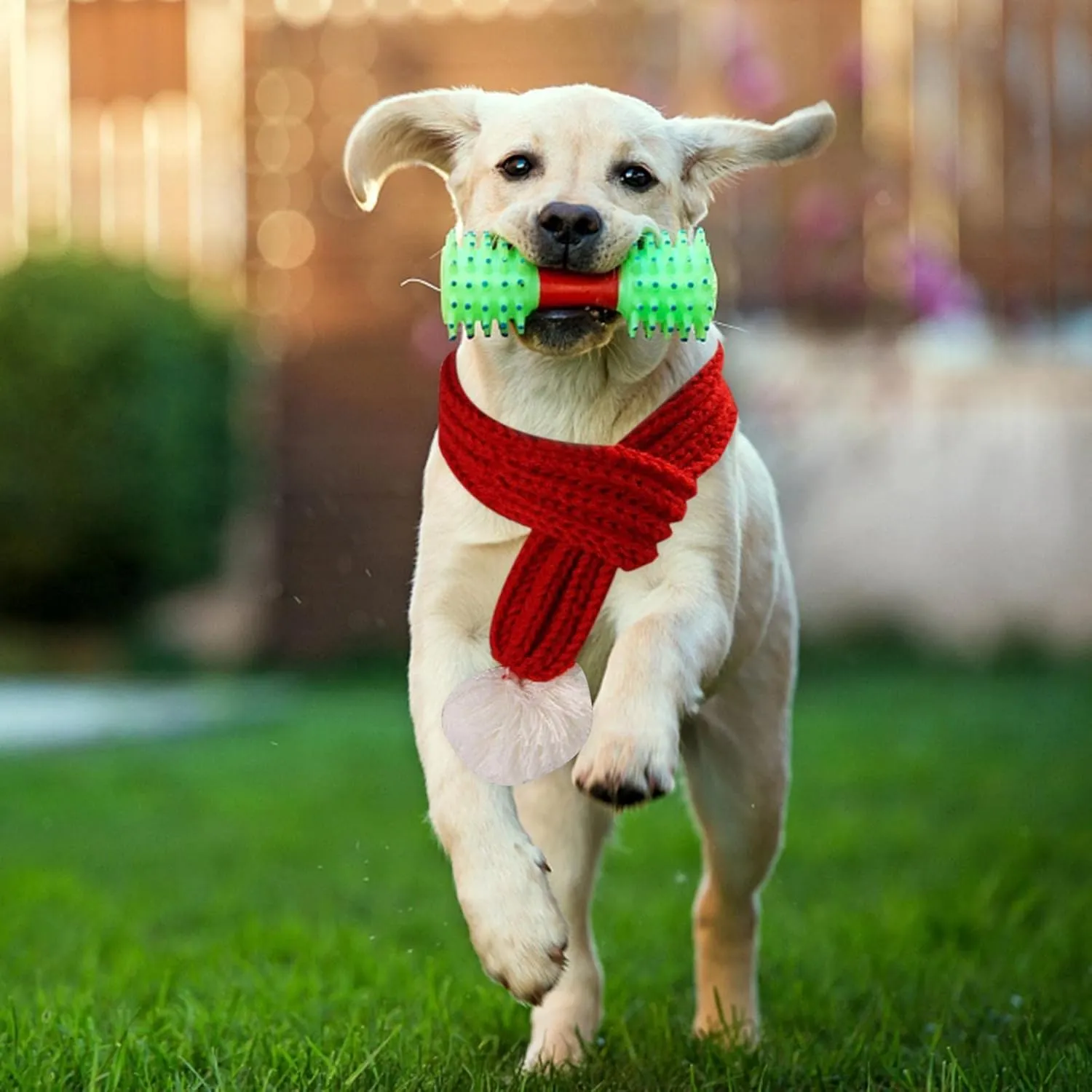 Dog Cat Knitted Christmas Scarf Neck Warmer with Santa Hat Set Xmas Pet Puppy Costume (Large, Red)