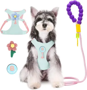 Dog Harness and Leash Set with 2 Flower Patches, No Pull Adjustable Puppy Harness, Step in No Chock Dog Vest for Small Medium Dogs Puppy and Cats(Green, S)