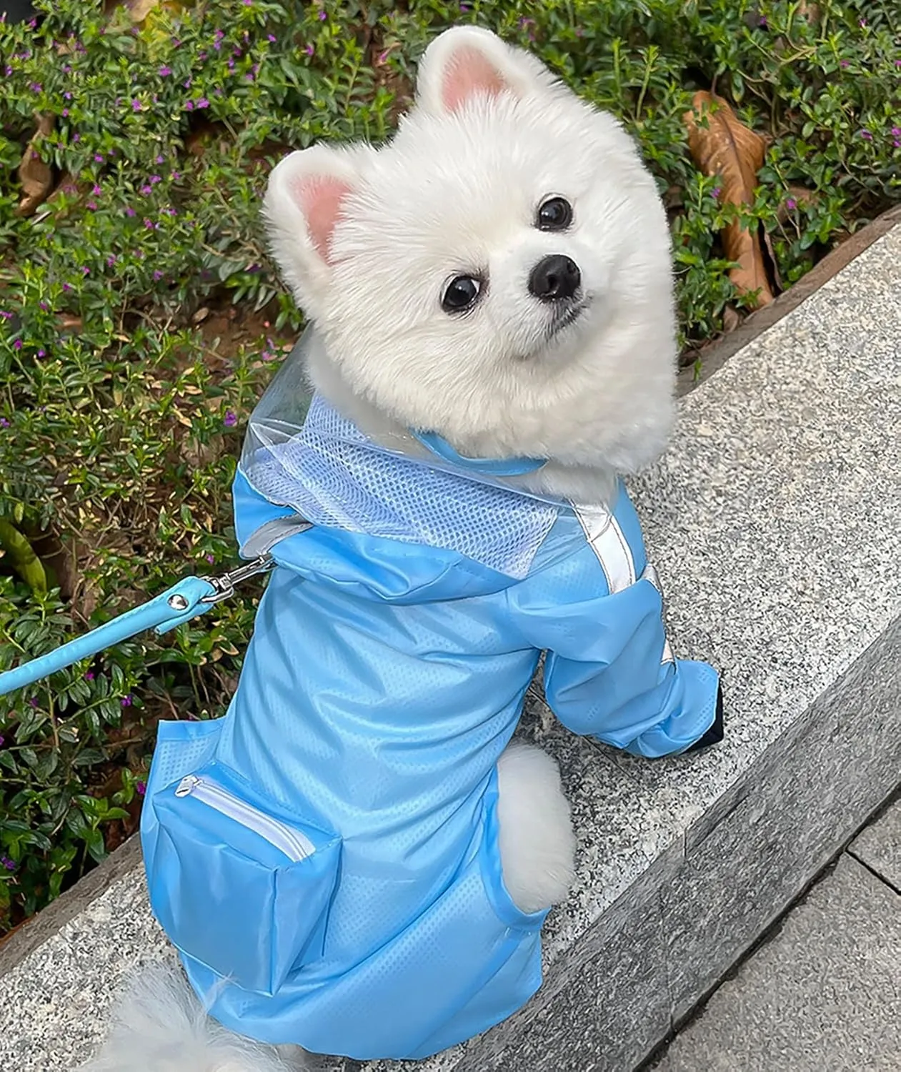 Dog Raincoat with Hood, Waterproof Full-Coverage Reflective Rain Jacket Quick-Drying Rain Poncho and Shoes for Small Medium Large Dogs,Blue,S