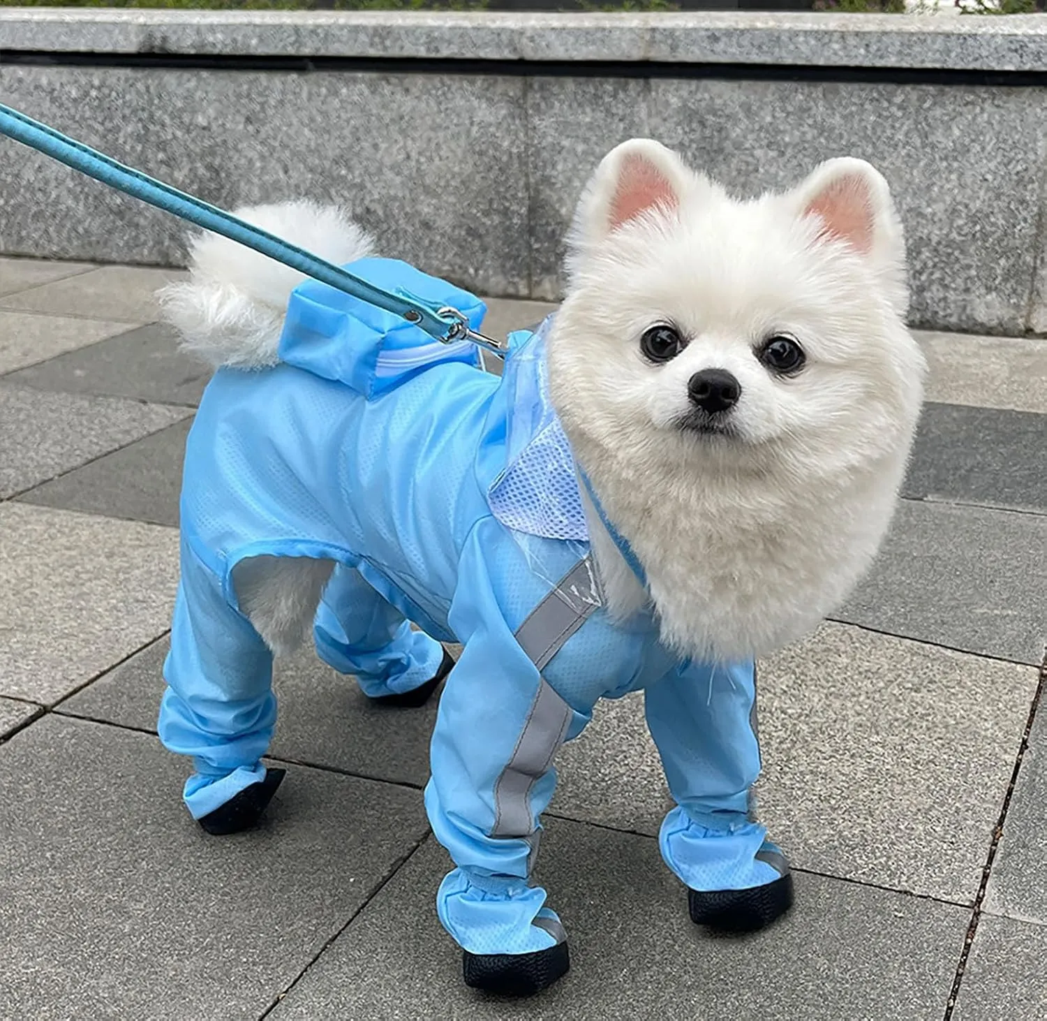 Dog Raincoat with Hood, Waterproof Full-Coverage Reflective Rain Jacket Quick-Drying Rain Poncho and Shoes for Small Medium Large Dogs,Blue,S
