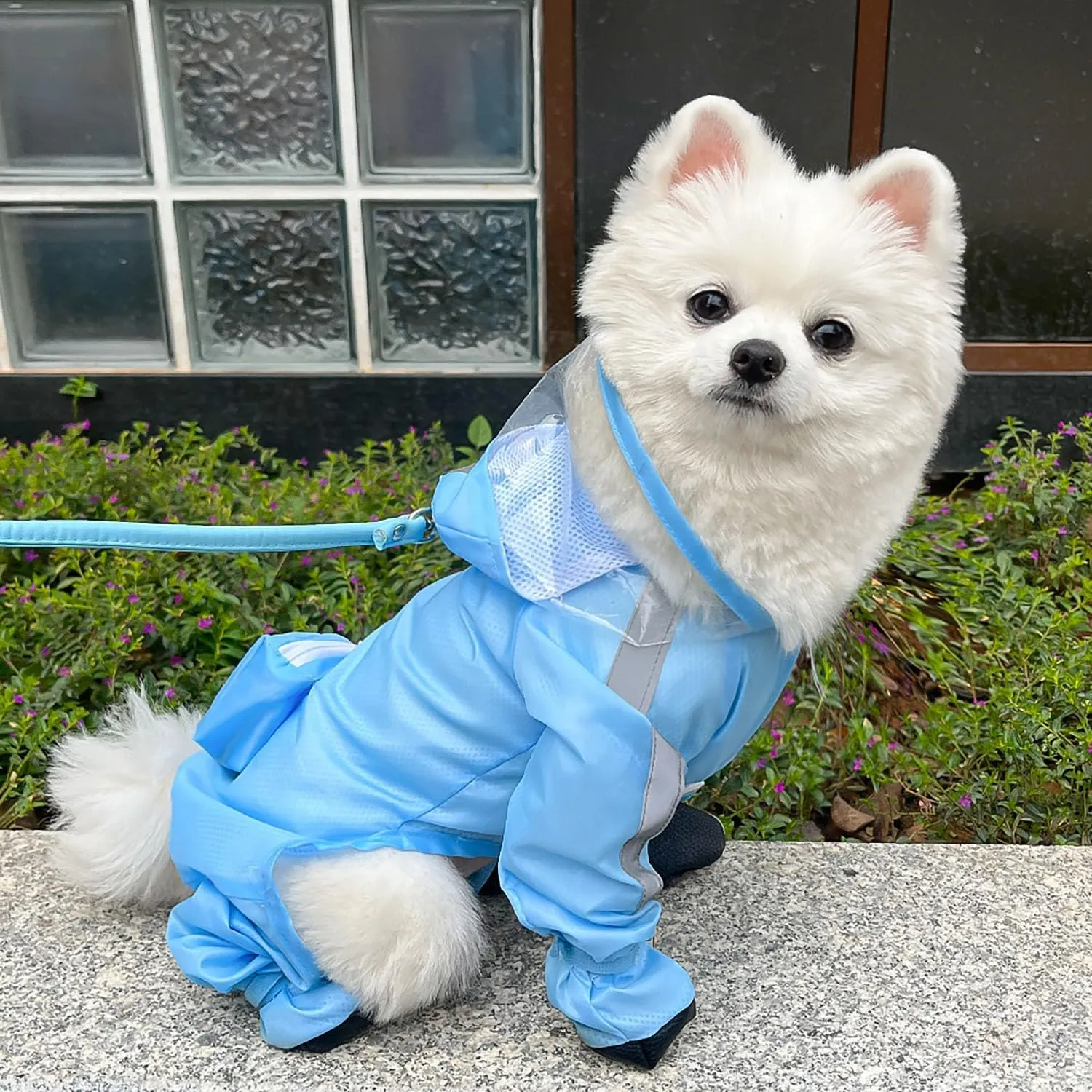 Dog Raincoat with Hood, Waterproof Full-Coverage Reflective Rain Jacket Quick-Drying Rain Poncho and Shoes for Small Medium Large Dogs,Blue,S