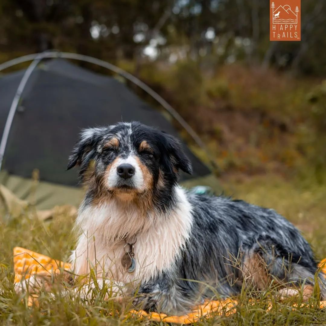 Dog Sleeping PadUltralight Foldable Closed Cell Foam Dog Sleeping PadUltimate for Camping, Backpacking, HikingOutdoor Dog BedCompact & Lightweight Dog Sleeping Mat (Medium)