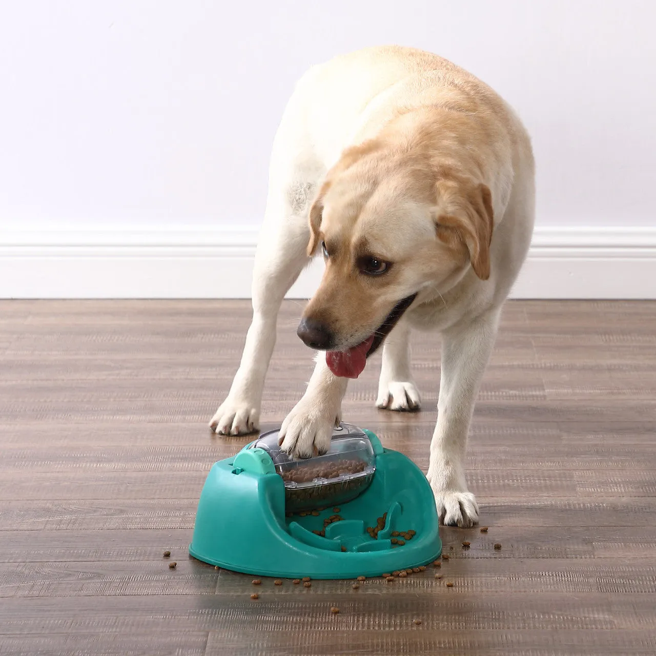 Dog Spin N' Eat Puzzle Feeder