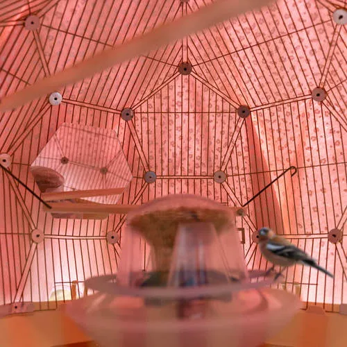 Geo Bird Cage Night Cover - Blossom Pink