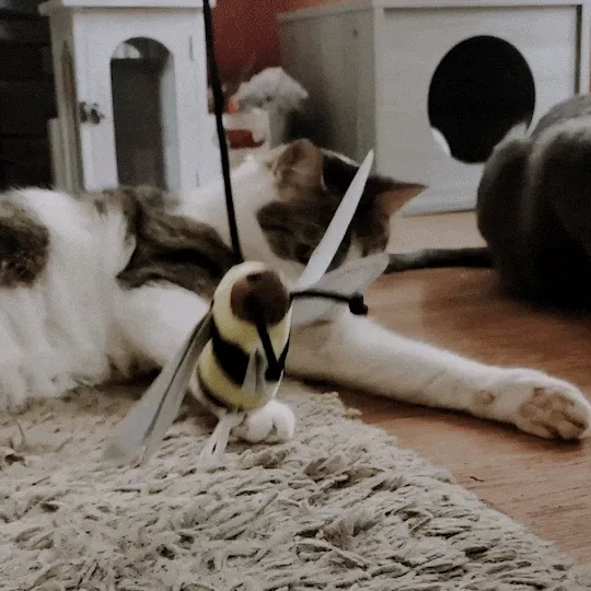 Get Buzzed Bee Refillable Wand Cat Toy