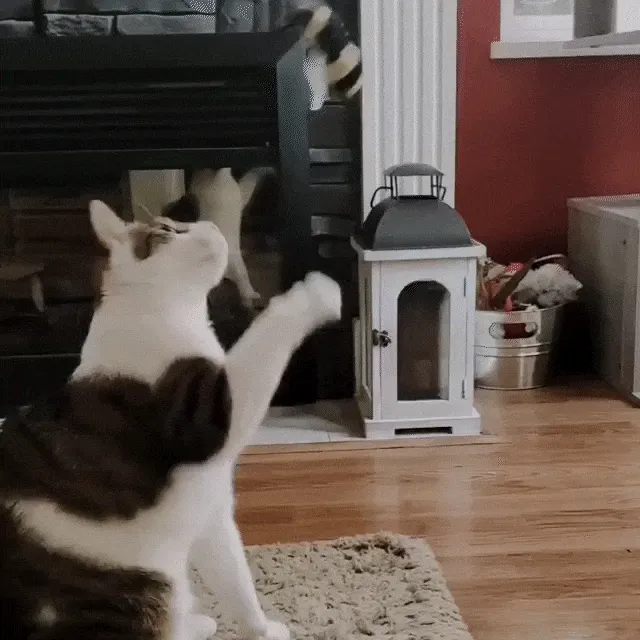 Get Buzzed Bee Refillable Wand Cat Toy