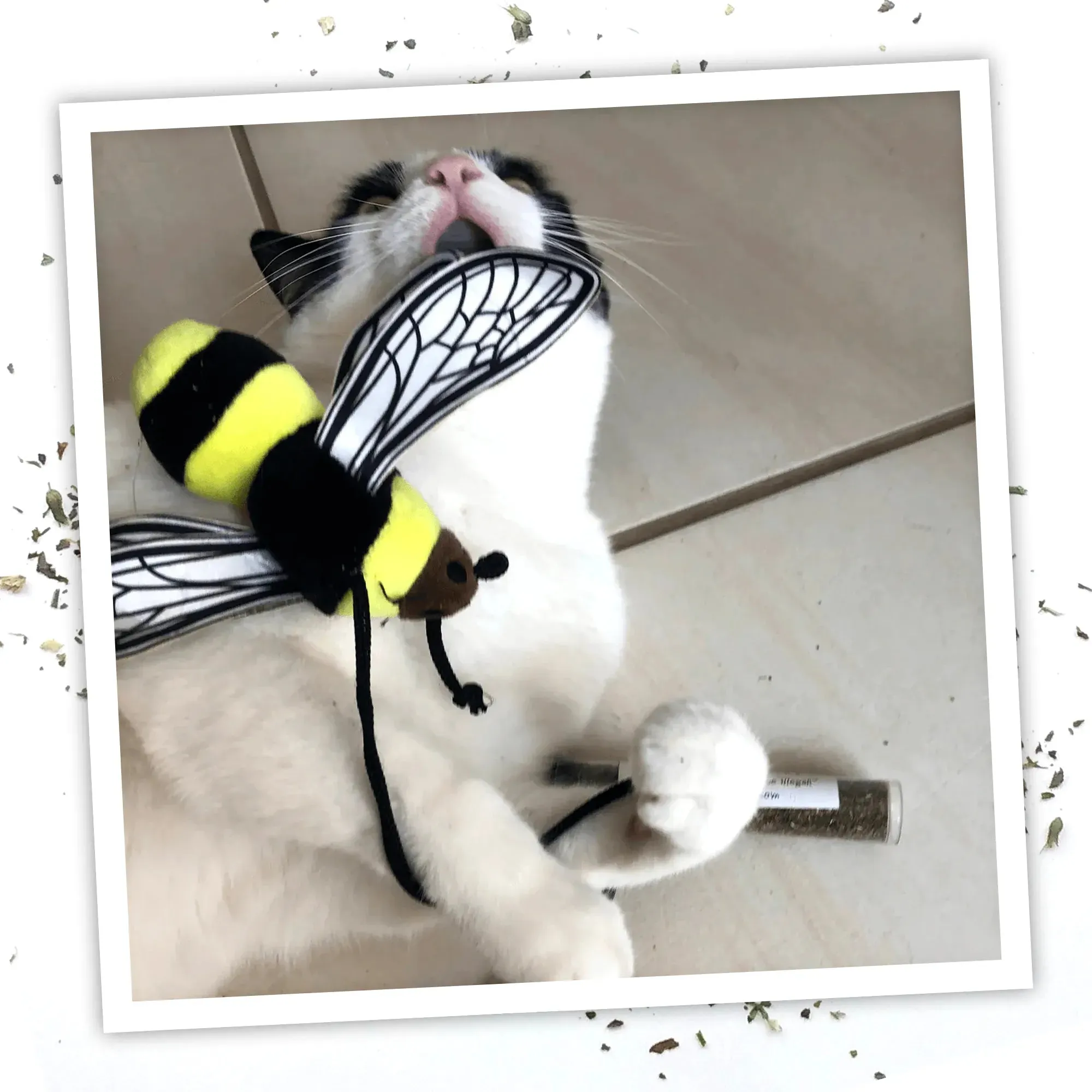 Get Buzzed Bee Refillable Wand Cat Toy