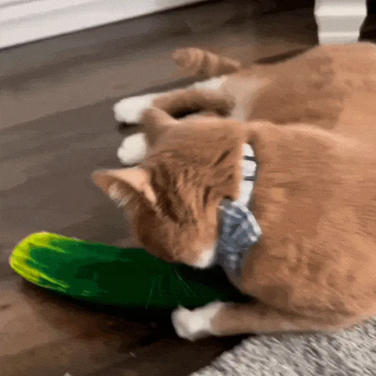 Get Kickin' Spicy Pickle Refillable Kicker Cat Toy