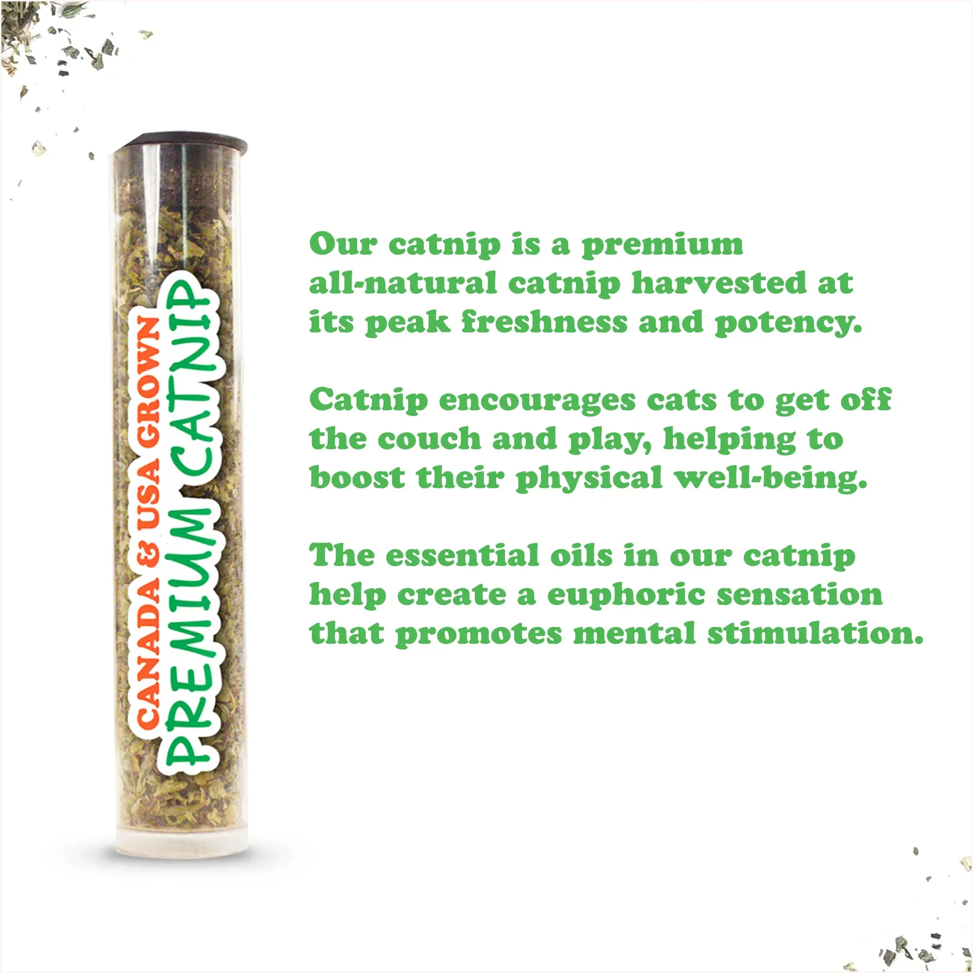 Get Kickin' Spicy Pickle Refillable Kicker Cat Toy