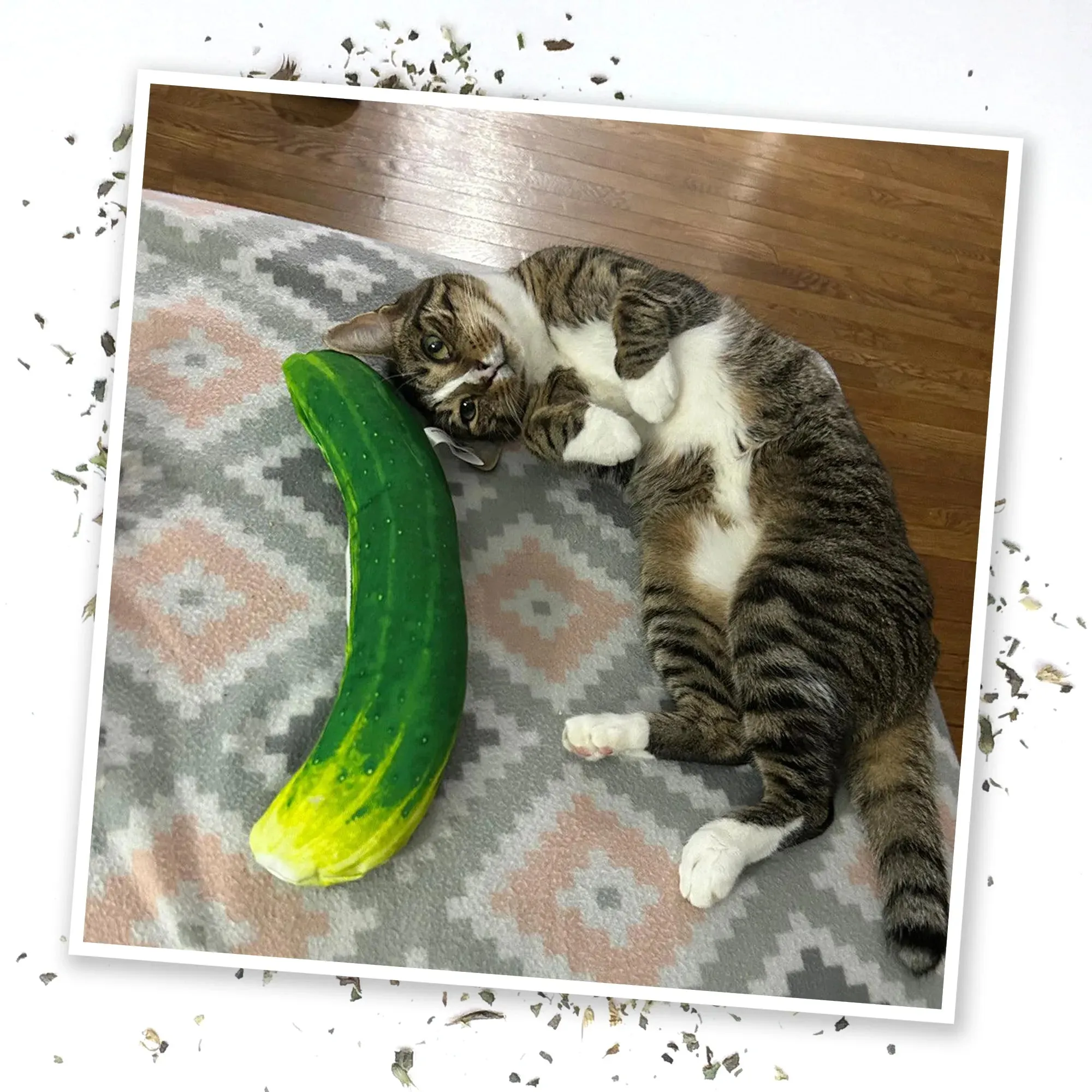 Get Kickin' Spicy Pickle Refillable Kicker Cat Toy