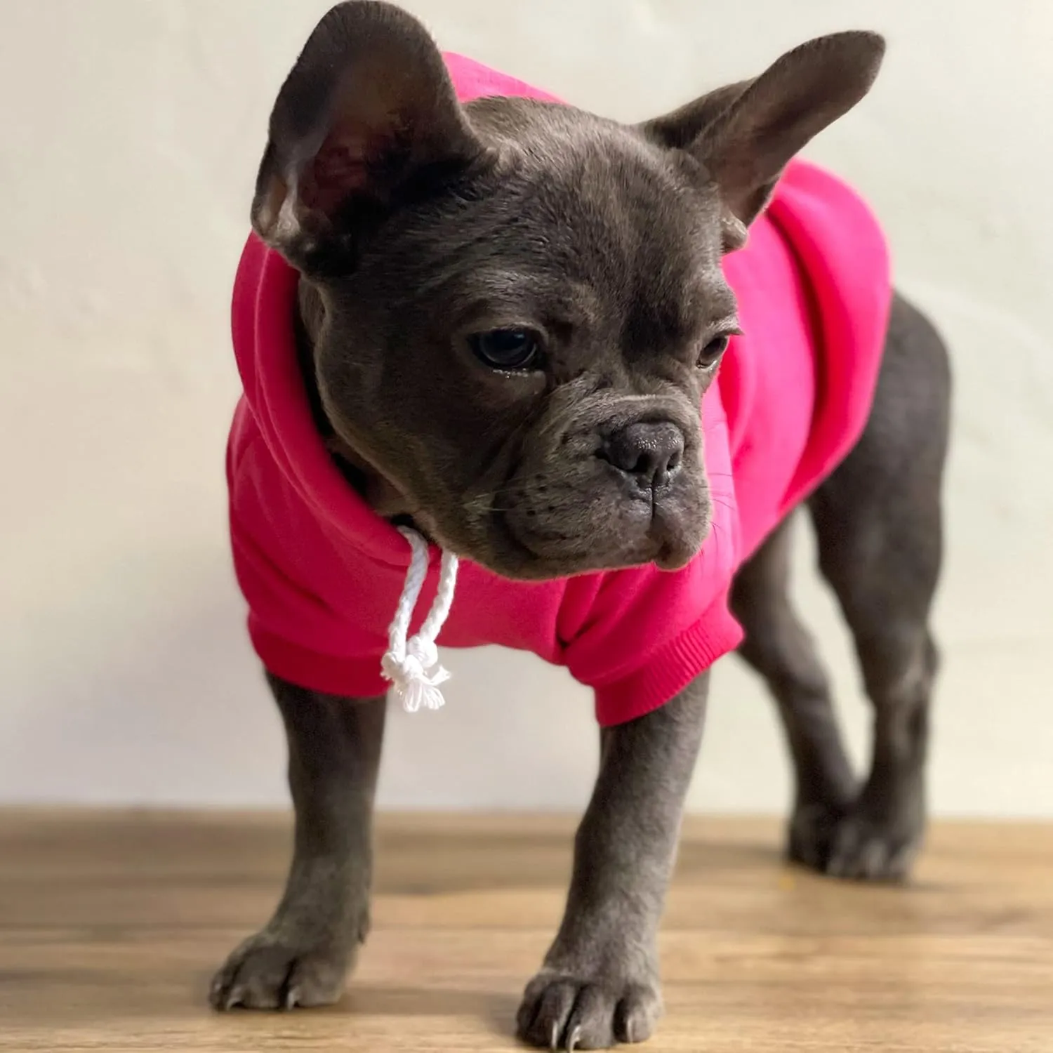 Happy Easter Dog Hoodie Fleece Lined Pullover Sweatshirt with Leash Hole (Baby Blue, 3X-Large 1217)