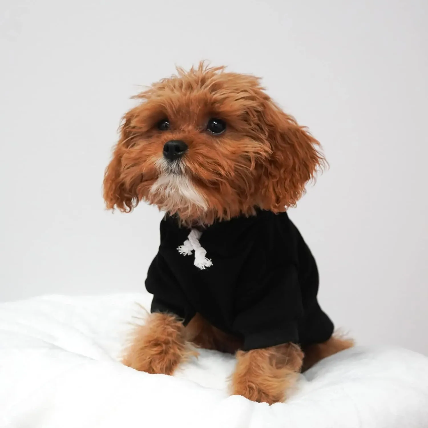 Happy Easter Dog Hoodie Fleece Lined Pullover Sweatshirt with Leash Hole (Green, 3X-Large 1217)