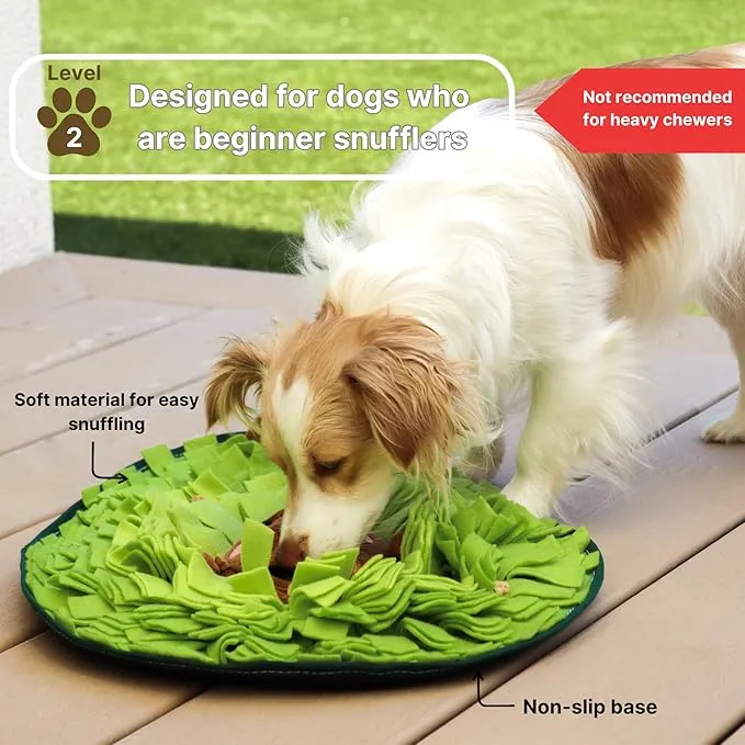 Injoya Avocado Snuffle Mat