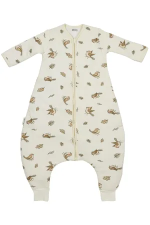 Meyco Baby Winter Sleep Overall Jumper With Sleeves Robin - Multicolour - 80cm