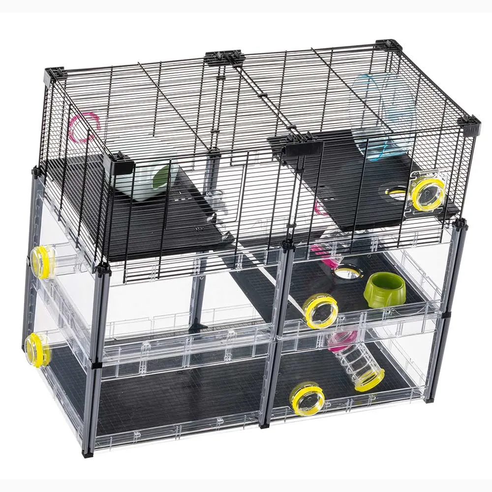 MULTIPLA HAMSTER CRYSTAL