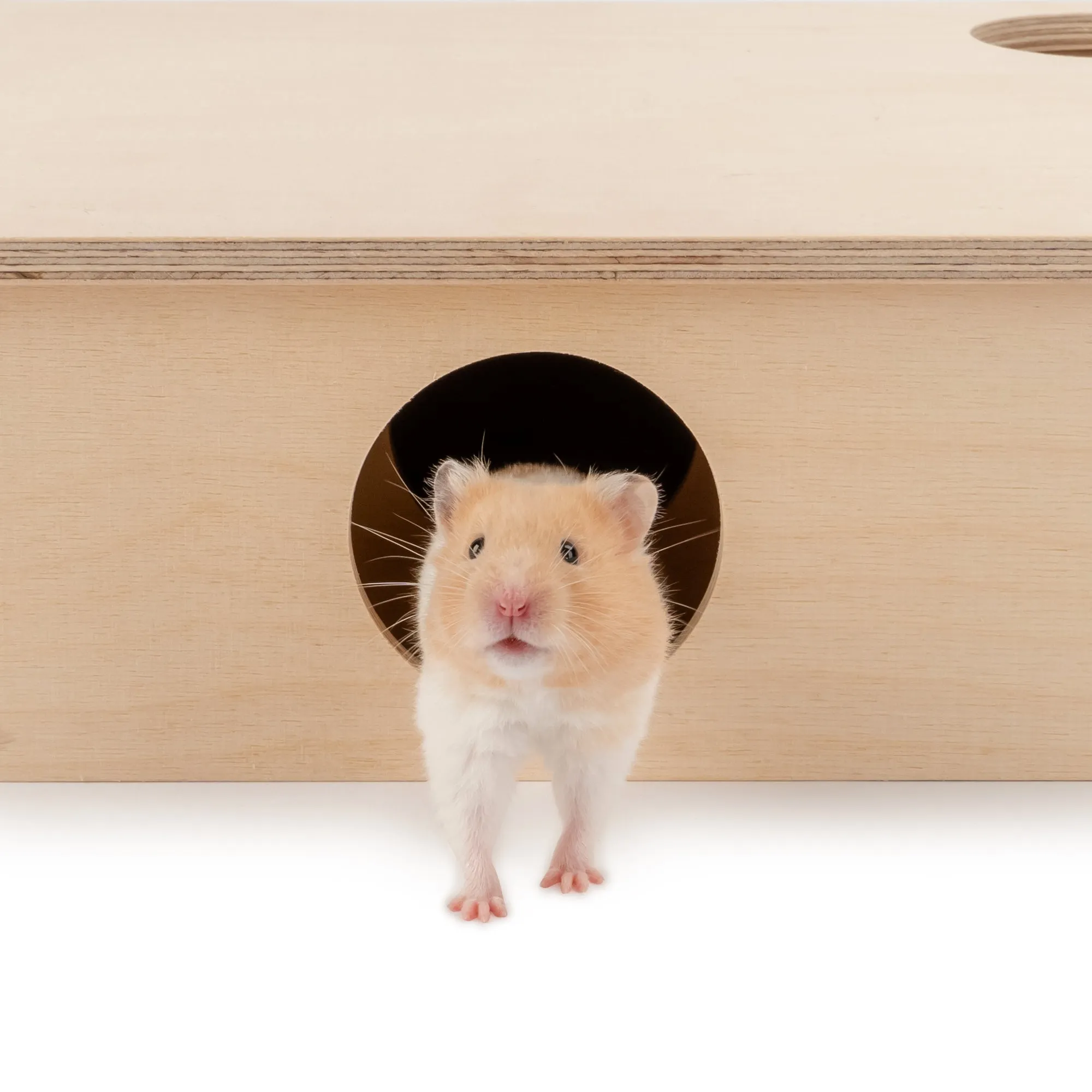 Niteangel Large Wooden Multi-Chamber Hideout for Dwarf and Syrian Hamsters