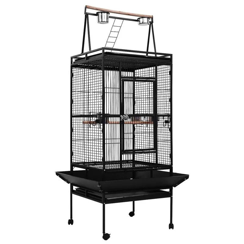 Pet Bird Cage with Perch 173cm