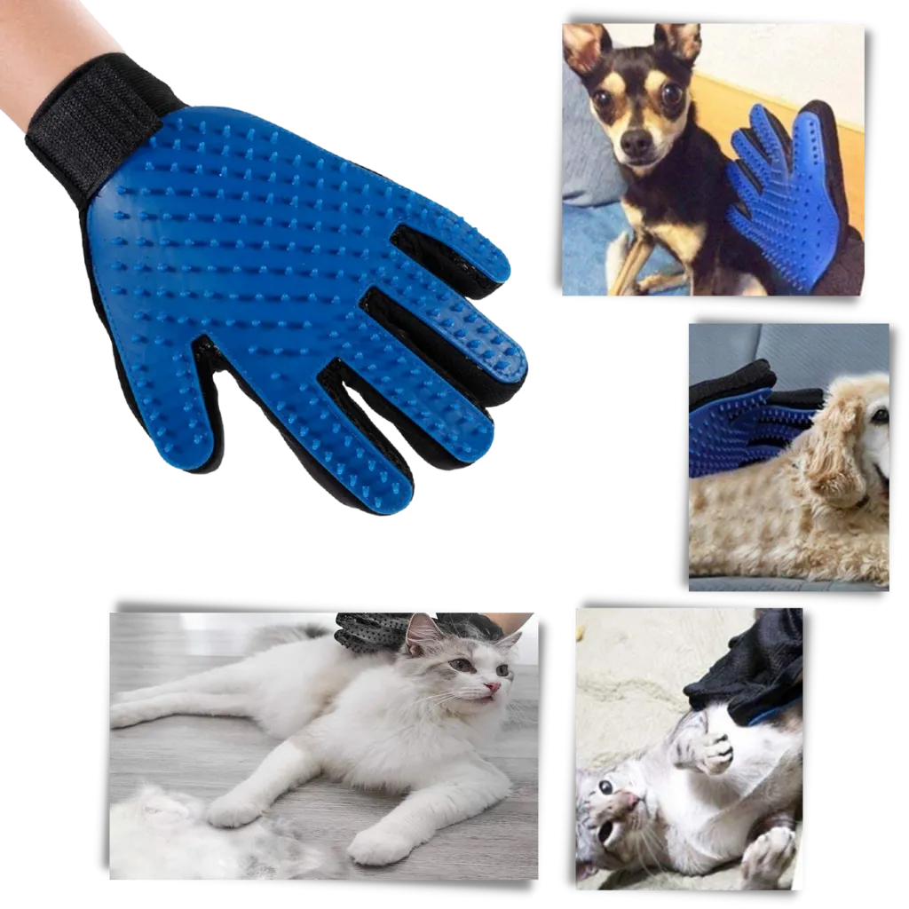 Pet Grooming Gloves (Pair)