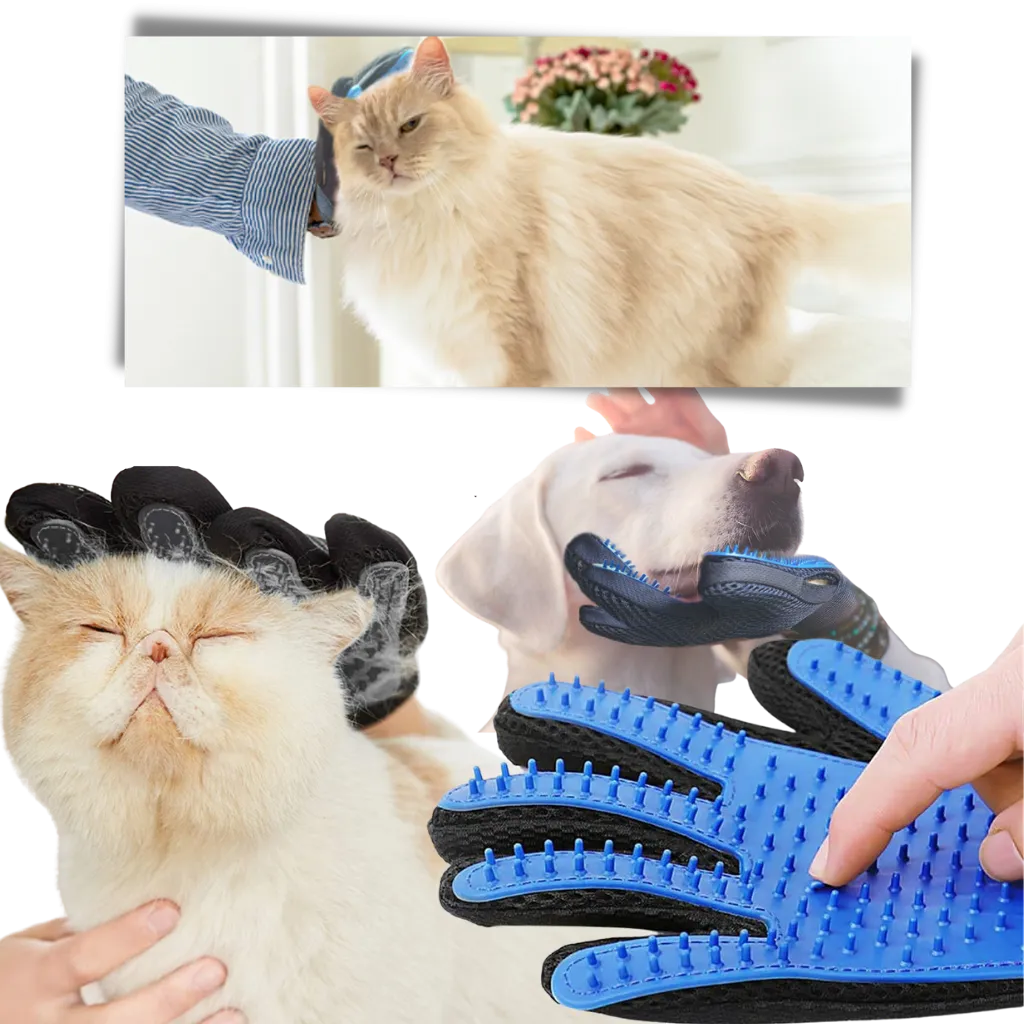 Pet Grooming Gloves (Pair)