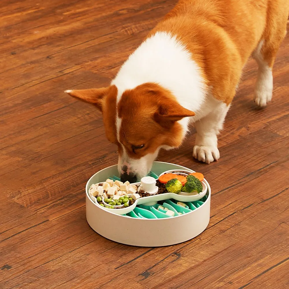 Puzzle Licker Maze Slow Feeder - Triple Texture Dog Bowl for Fun & Healthy Eating (Green)