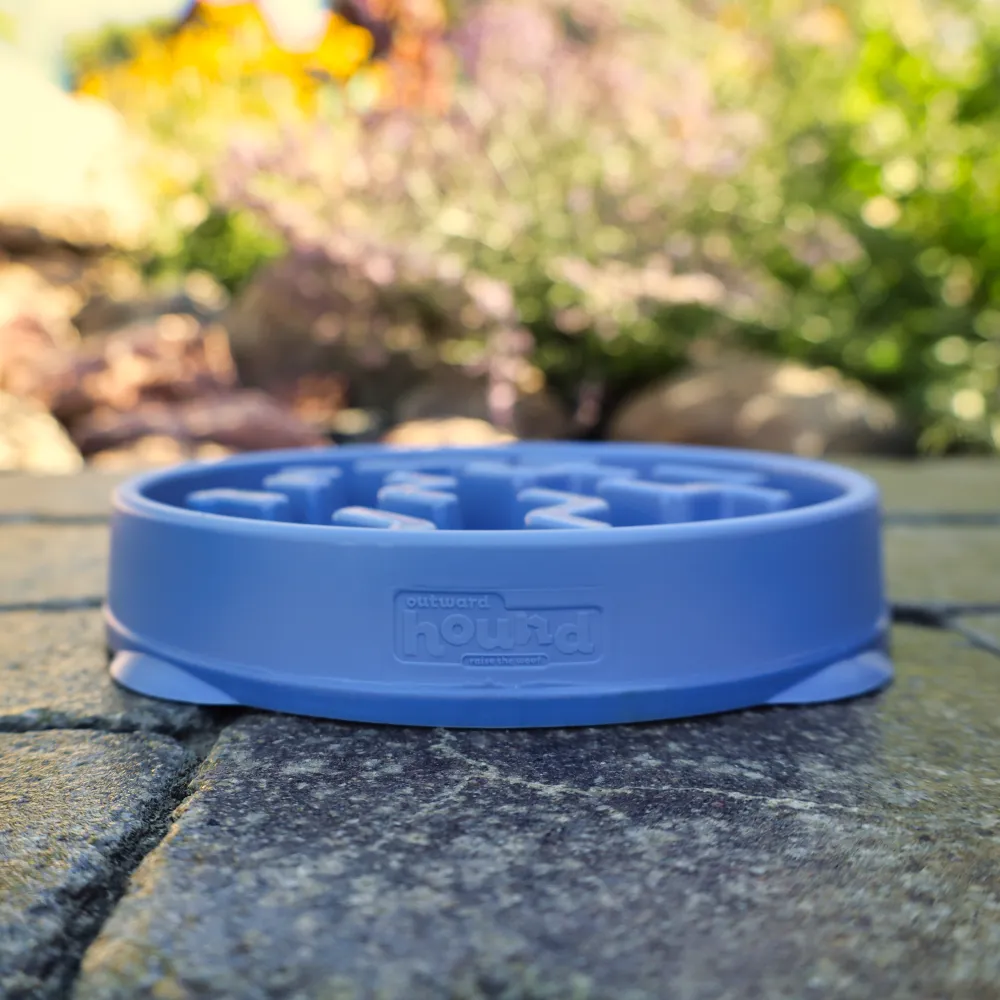 Slo Feeder Interactive Bowl - Blue