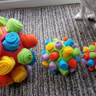 Sniff and Snack Puzzle Ball.