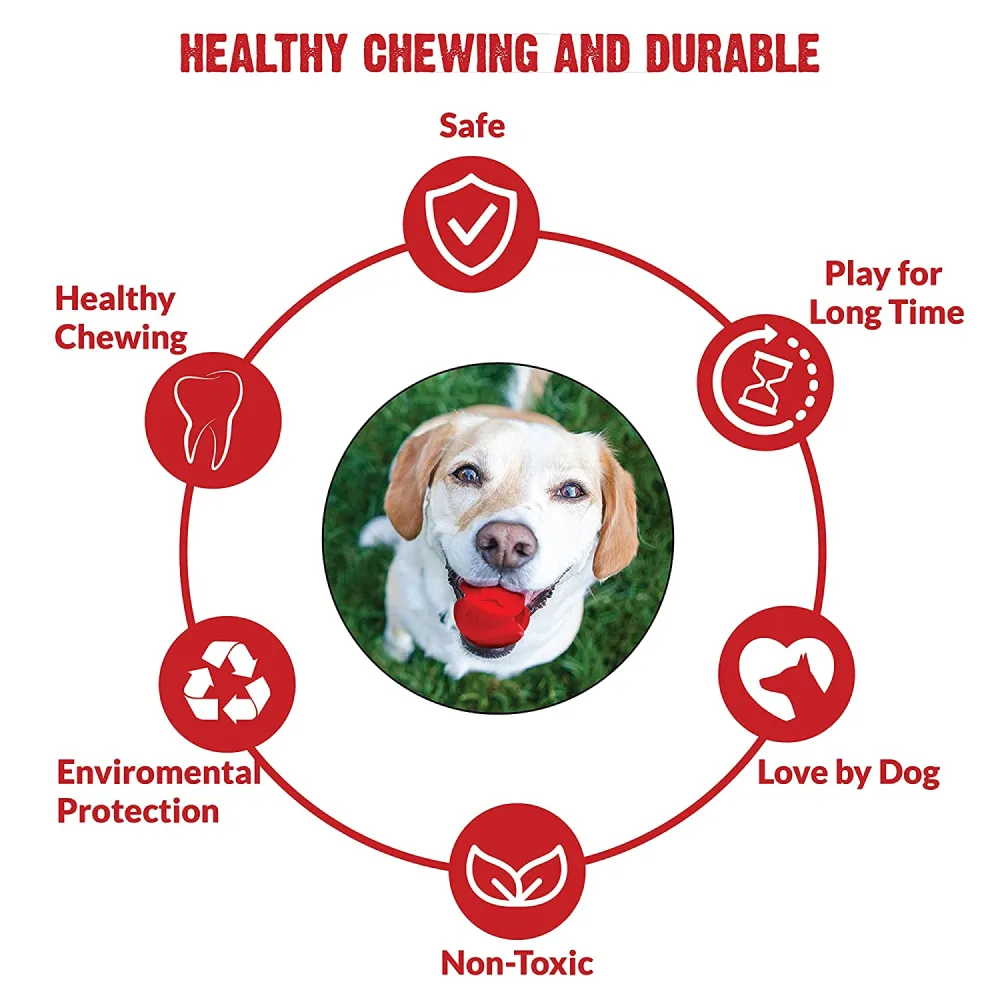 Trixie Denta Mint Flavour Rubber Fun Rugby Ball and Goofy Tails Wobbly Rubber Ball for Dogs Combos