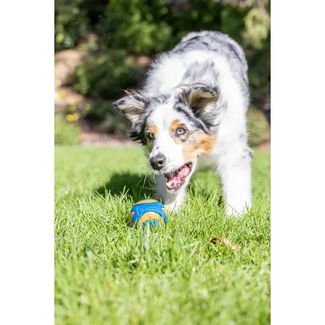 Ultra Squeaker Balls Dog Toy 2 Pack - Medium