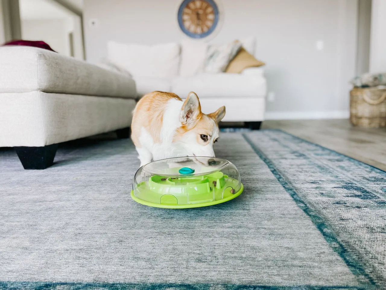 Wobble Bowl Puzzle Feeder