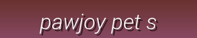 Fun Time & Winter Must-Haves | Toys, Puzzle Feeders, Smart Pet Cameras & Cozy Essentials